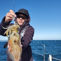 ソルトウォーターガイドフレンズ 釣果