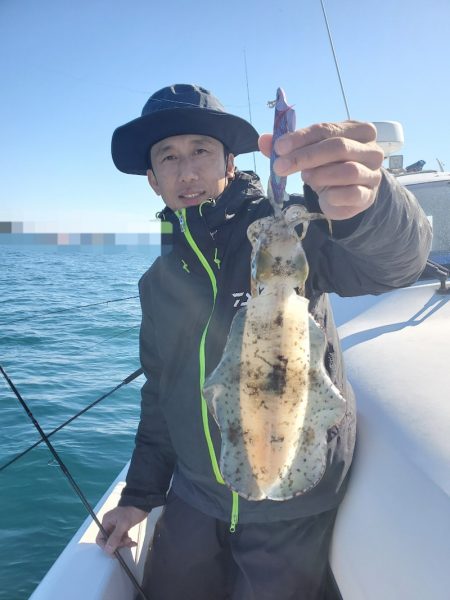 ソルトウォーターガイドフレンズ 釣果