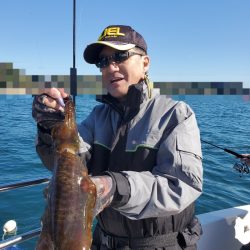 ソルトウォーターガイドフレンズ 釣果