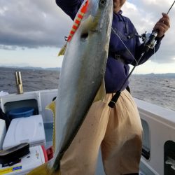 アマテラス 釣果