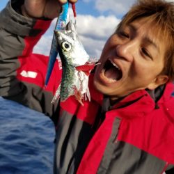 アマテラス 釣果