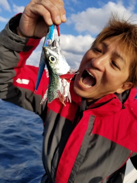 アマテラス 釣果