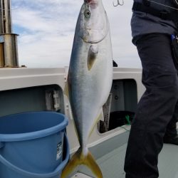 アマテラス 釣果