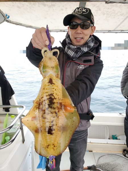 ソルトウォーターガイドフレンズ 釣果