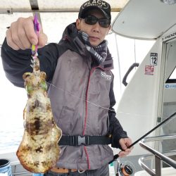 ソルトウォーターガイドフレンズ 釣果