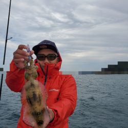 ソルトウォーターガイドフレンズ 釣果