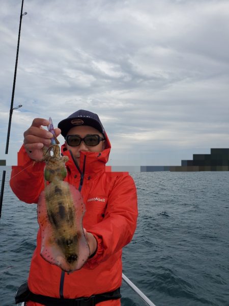 ソルトウォーターガイドフレンズ 釣果