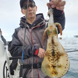 ソルトウォーターガイドフレンズ 釣果