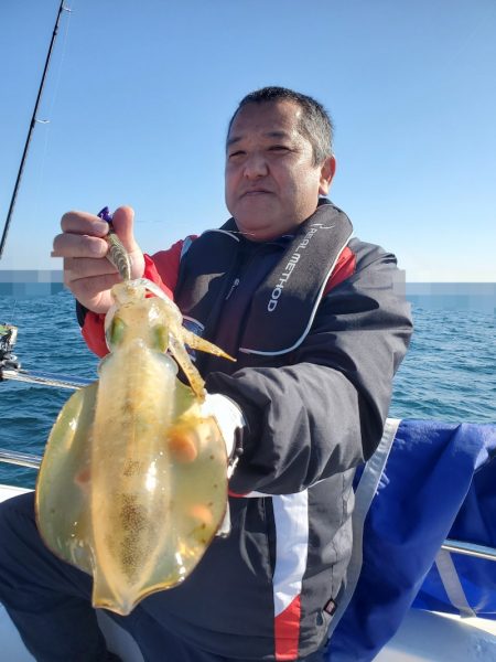 ソルトウォーターガイドフレンズ 釣果