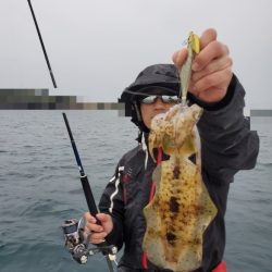 ソルトウォーターガイドフレンズ 釣果