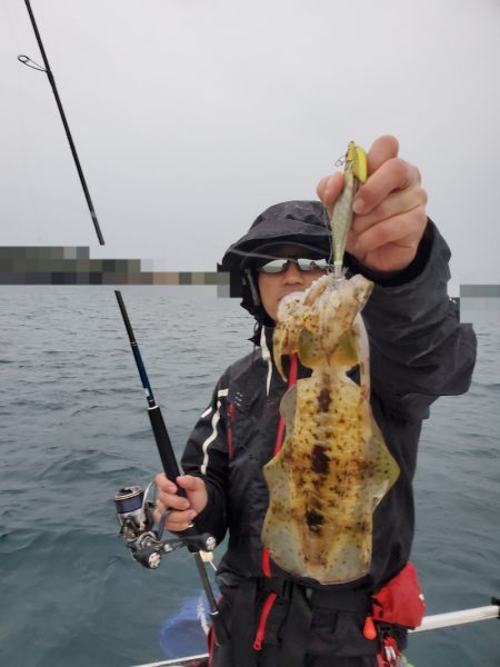 ソルトウォーターガイドフレンズ 釣果