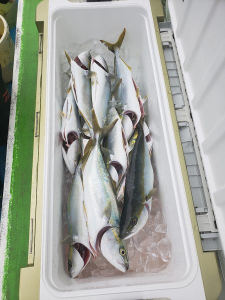 丸万釣船 釣果