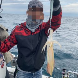 シーライオン 釣果