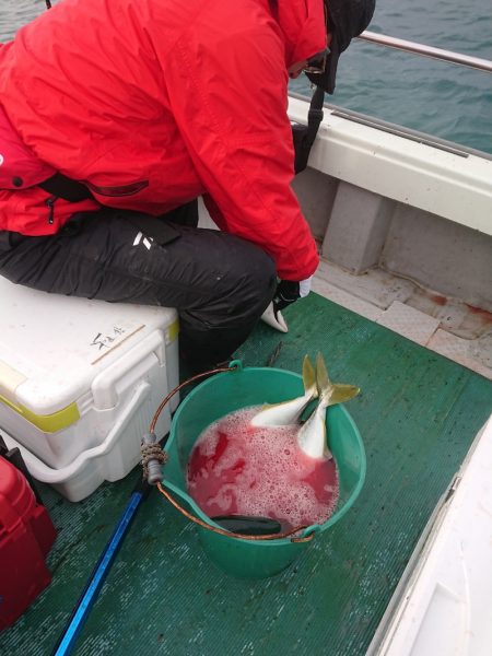 鷹王丸 釣果