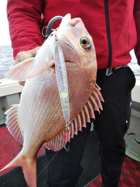 光生丸 釣果