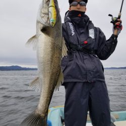 アマテラス 釣果