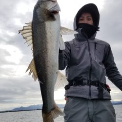 アマテラス 釣果