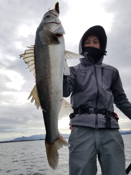 アマテラス 釣果