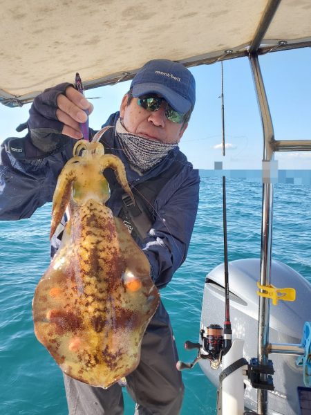 ソルトウォーターガイドフレンズ 釣果