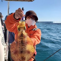 ソルトウォーターガイドフレンズ 釣果