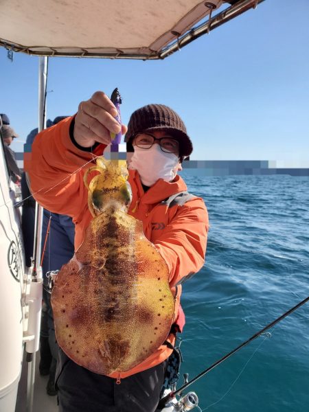 ソルトウォーターガイドフレンズ 釣果