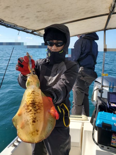 ソルトウォーターガイドフレンズ 釣果