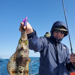 ソルトウォーターガイドフレンズ 釣果