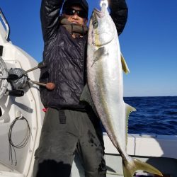 アマテラス 釣果