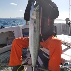 アマテラス 釣果