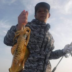 ブルースフィッシングサービス 釣果