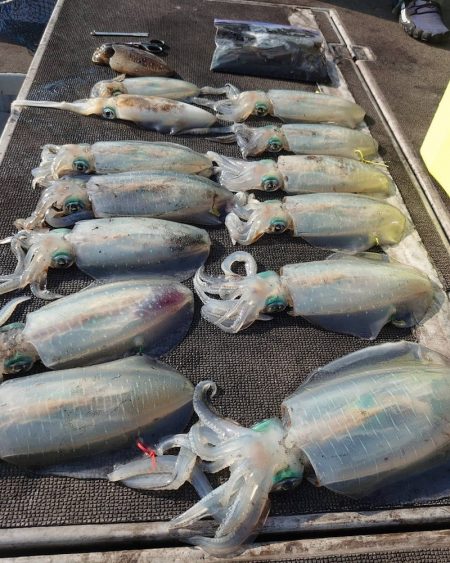 ブルースフィッシングサービス 釣果