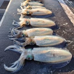 ブルースフィッシングサービス 釣果