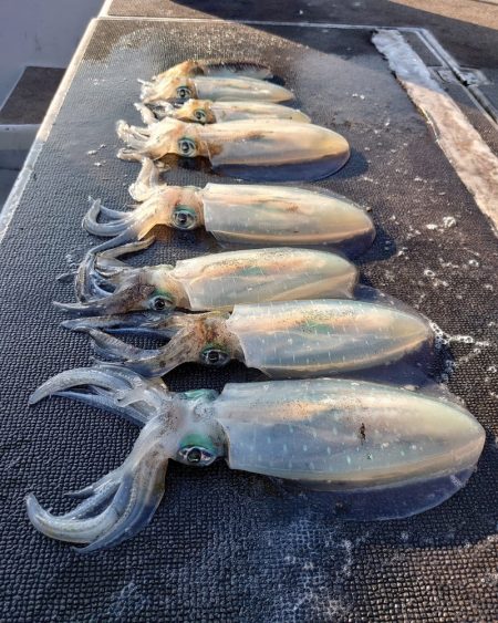 ブルースフィッシングサービス 釣果