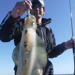 ブルースフィッシングサービス 釣果