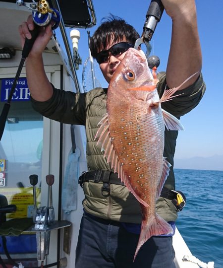 遊漁船 家入 釣果