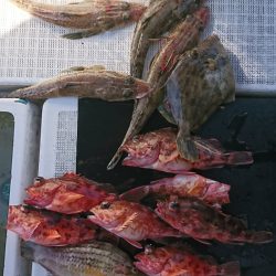 遊漁船 家入 釣果