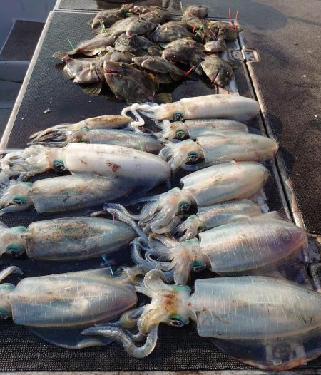 ブルースフィッシングサービス 釣果