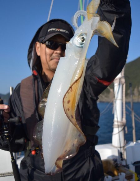 渡船屋たにぐち 釣果