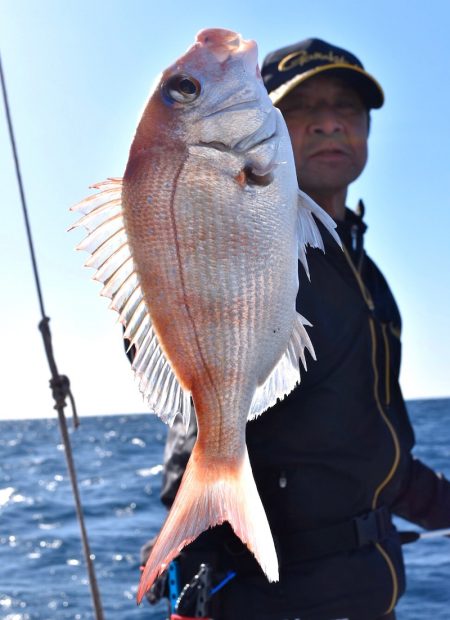 渡船屋たにぐち 釣果