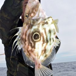 渡船屋たにぐち 釣果