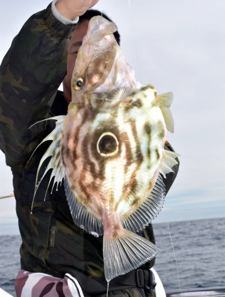 渡船屋たにぐち 釣果