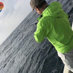 幕島丸 釣果