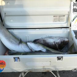幕島丸 釣果