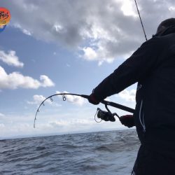 幕島丸 釣果