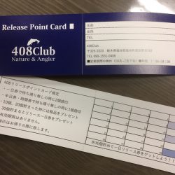 408Club 釣果