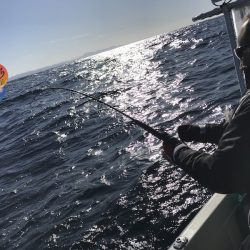 幕島丸 釣果