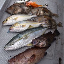 渡船屋たにぐち 釣果