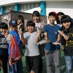 としまえんフィッシングエリア 釣果