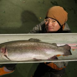 としまえんフィッシングエリア 釣果