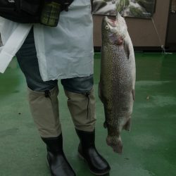 としまえんフィッシングエリア 釣果